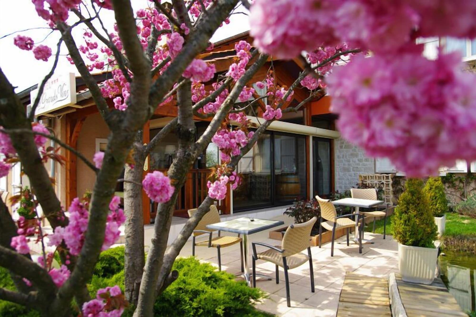 Des Grands Vins Hotel Fleurie