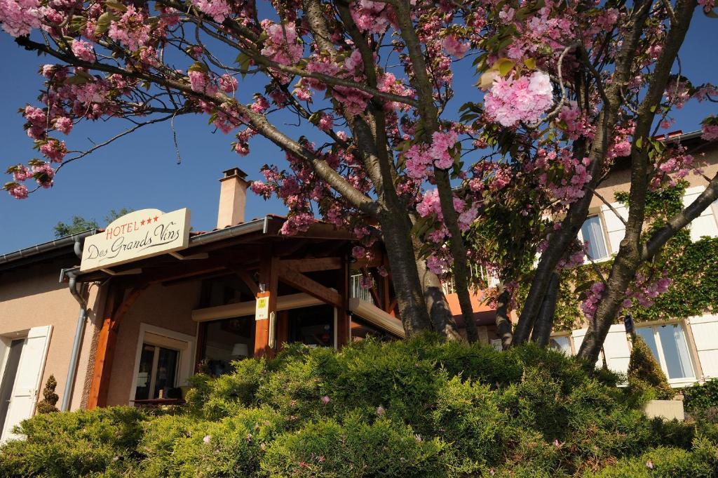 Des Grands Vins Hotel 3*